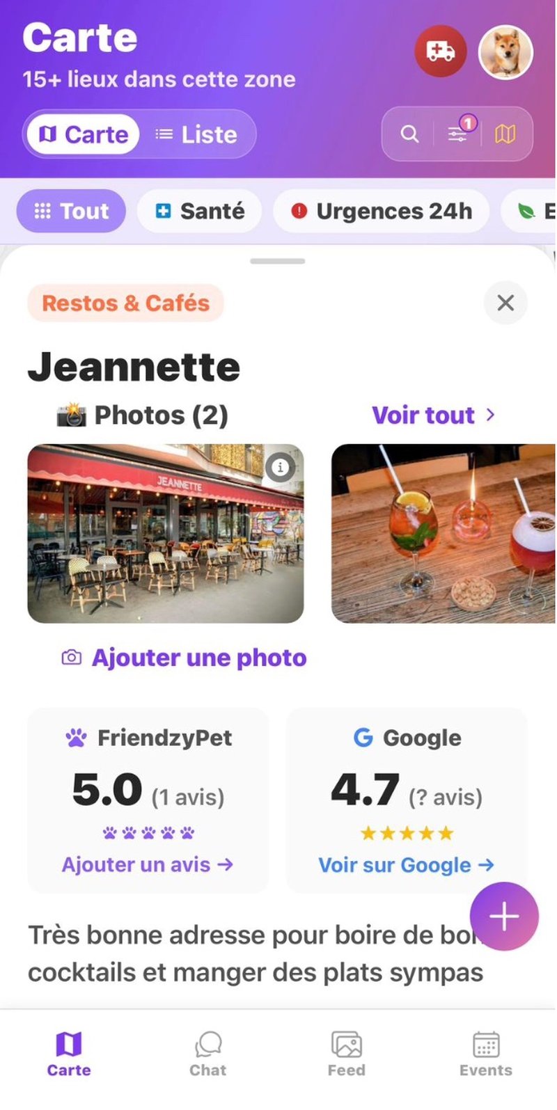 Fiche Jeannette avec photos et avis FriendzyPet vs Google