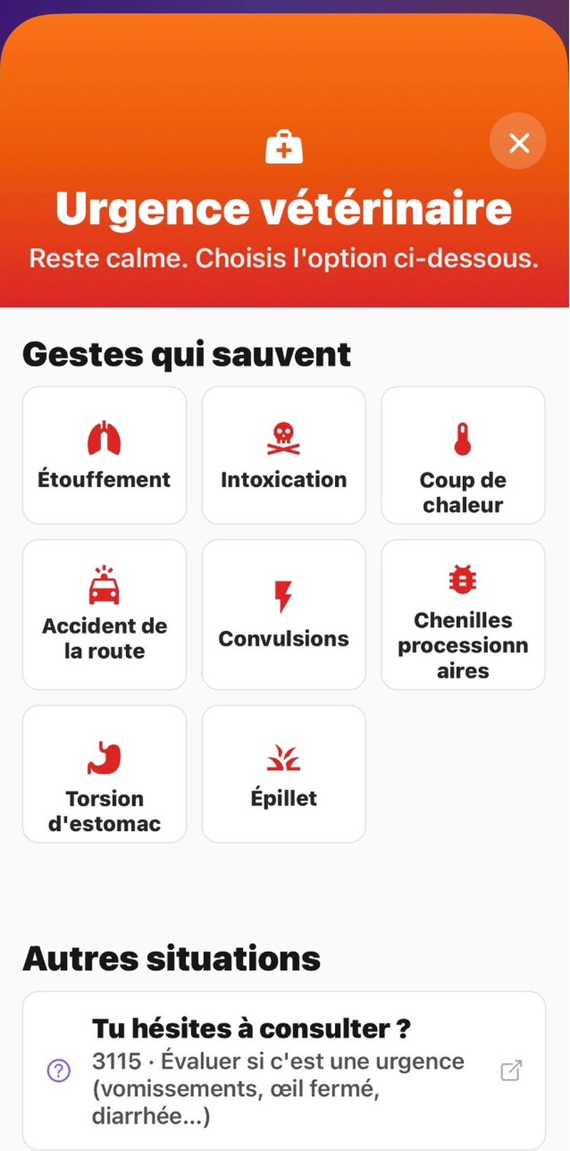 Gestes qui sauvent : étouffement, intoxication, coup de chaleur